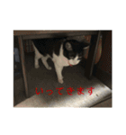 こぐとひぐとゆかいな仲間たち（個別スタンプ：22）