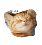 子猫のリタ君のスタンプ（個別スタンプ：1）