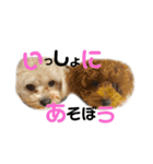 ぽこぺこ（個別スタンプ：6）