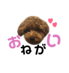 ぽこぺこ（個別スタンプ：8）