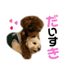 ぽこぺこ（個別スタンプ：11）