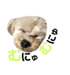ぽこぺこ（個別スタンプ：13）