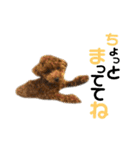 ぽこぺこ（個別スタンプ：15）
