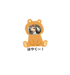 bigまま（個別スタンプ：4）