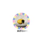 bigまま（個別スタンプ：5）