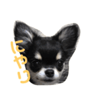 あすなきりと（個別スタンプ：1）