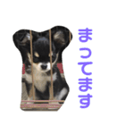 あすなきりと（個別スタンプ：5）