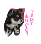 あすなきりと（個別スタンプ：9）
