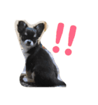 あすなきりと（個別スタンプ：13）