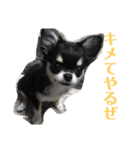 あすなきりと（個別スタンプ：14）