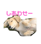 あすなきりと（個別スタンプ：17）