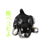あすなきりと（個別スタンプ：19）