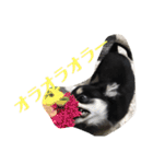 あすなきりと（個別スタンプ：20）