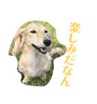 あすなきりと（個別スタンプ：21）