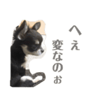 あすなきりと（個別スタンプ：22）