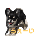 あすなきりと（個別スタンプ：23）