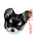 あすなきりと（個別スタンプ：24）