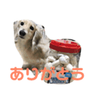 あすなきりと（個別スタンプ：31）
