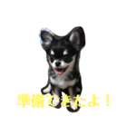 あすなきりと（個別スタンプ：32）