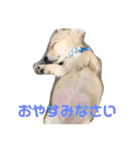 あすなきりと（個別スタンプ：37）