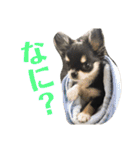 あすなきりと（個別スタンプ：38）