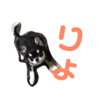 あすなきりと（個別スタンプ：39）