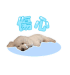 リアモフの民 Chinese（個別スタンプ：29）