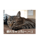 ねこ○＆にゃん○(ФωФ)（個別スタンプ：5）