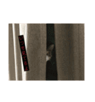 タムラ家の動物たち（個別スタンプ：11）