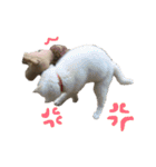 タムラ家の動物たち（個別スタンプ：17）