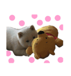 タムラ家の動物たち（個別スタンプ：20）