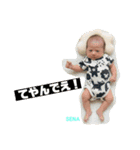 SENA No. 1（個別スタンプ：15）