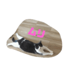 まいべいびーこたちゃん（個別スタンプ：1）