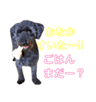 k'family+α集合☆（個別スタンプ：1）