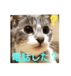 k'family+α集合☆（個別スタンプ：2）