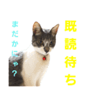 k'family+α集合☆（個別スタンプ：3）