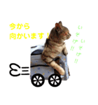 k'family+α集合☆（個別スタンプ：17）