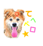k'family+α集合☆（個別スタンプ：18）