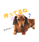 k'family+α集合☆（個別スタンプ：22）