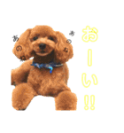 k'family+α集合☆（個別スタンプ：24）
