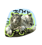 遊び系（個別スタンプ：4）