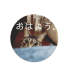 オチビちゃん。（個別スタンプ：1）