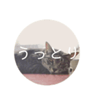 オチビちゃん。（個別スタンプ：2）