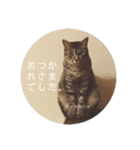 オチビちゃん。（個別スタンプ：3）