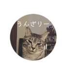 オチビちゃん。（個別スタンプ：5）