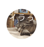 オチビちゃん。（個別スタンプ：7）
