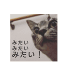オチビちゃん。（個別スタンプ：10）
