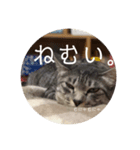 オチビちゃん。（個別スタンプ：15）