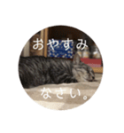 オチビちゃん。（個別スタンプ：16）