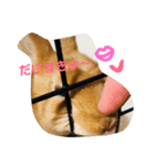れおくんです。Part.3（個別スタンプ：2）